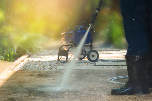 Best Solar Panel Cleaning  in Wewahitchka, FL